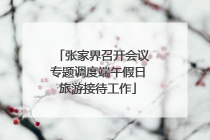 张家界召开会议专题调度端午假日旅游接待工作